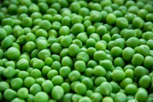 Green Peas: A Good Source of Protein for Weight Loss