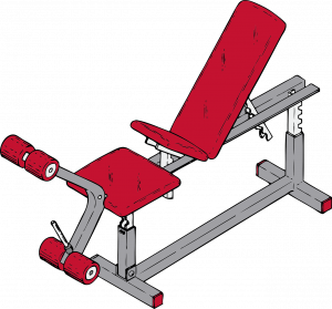 How to Choose a Weight Bench