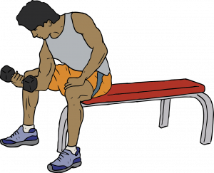 How to Choose a Weight Bench